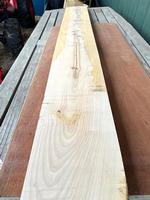 Hard Maple  - 6/4 (SIX boards!) -- 49 BF, 8-11"W x 68-85"L